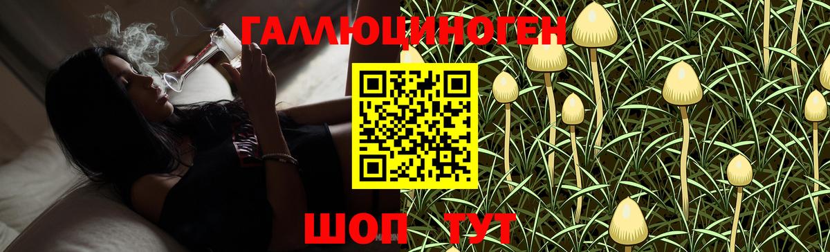 Симферополь  Псилоцибиновые грибы мухоморы  Вход с VPN 